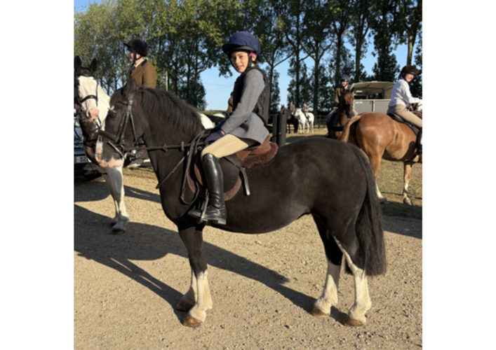 Smart genuine mare