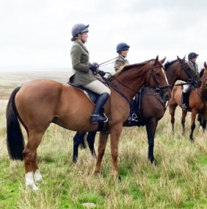 Fun and genuine hunter / all rounder 
