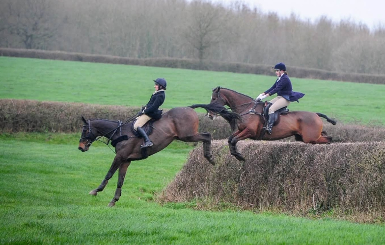 Big Smart Hunter/Dressage