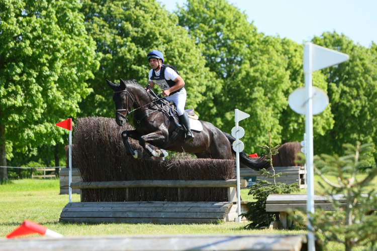 Talented 8yo 16hh Eventing Mare