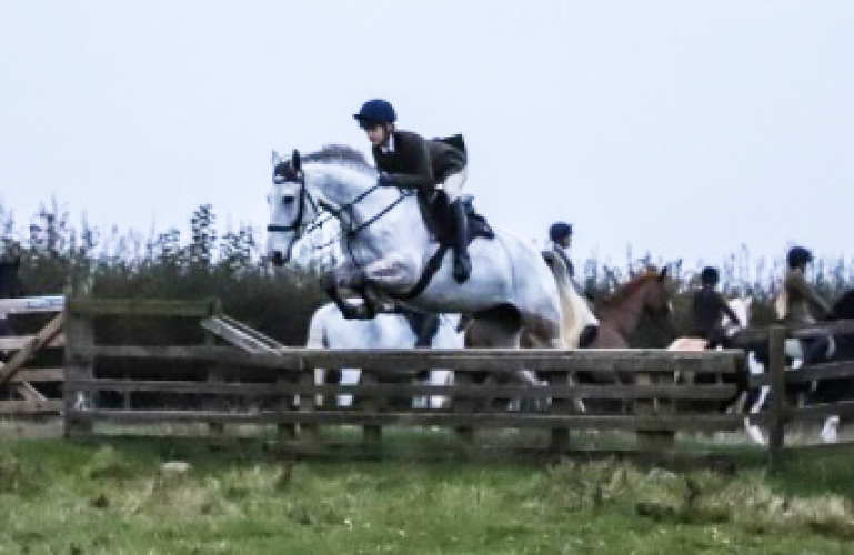 Brave hunting / all rounder mare