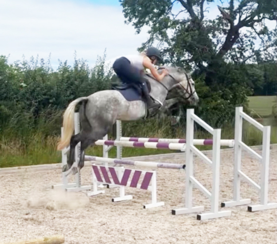 Fantastic Jumper