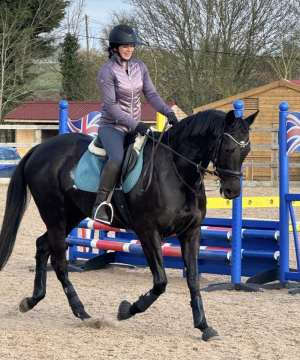 Stunning ROR mare 