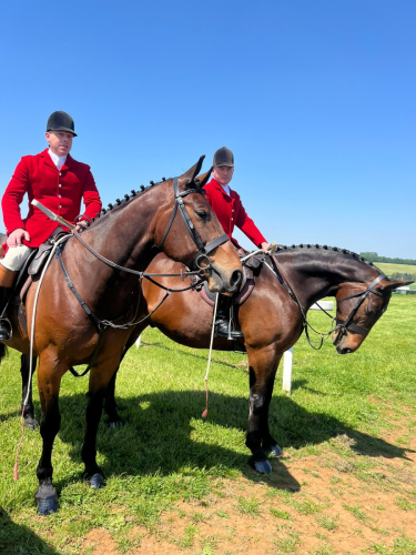 FULL TIME STUD GROOM – GRAFTON HUNT