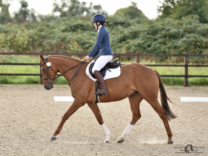 Stunning RoR eligible fun allrounder