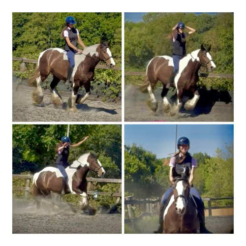 FANTASTIC GENUINE ALLROUNDER / BEACH RIDES / SPONSORED RIDES/ FAMILY COB!!