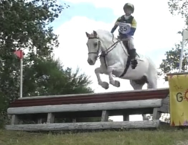 WANTED: 15hh – 15.2hh all-rounder for a mother / son to have fun on