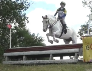 WANTED: 15hh – 15.2hh all-rounder for a mother / son to have fun on 