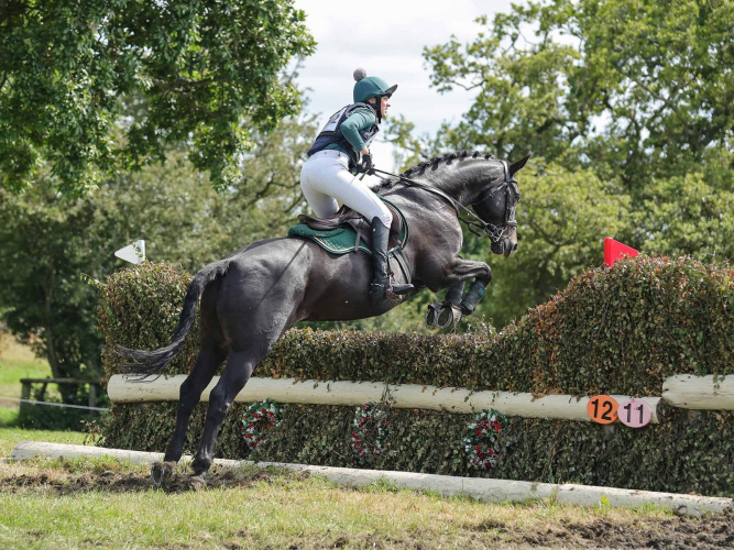 MR T...Fabulous Hunter/Allrounder