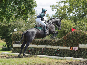MR T...Fabulous Hunter/Allrounder 