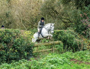 Super Hunting Pony