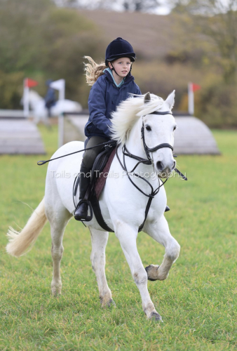 All Rounder 13.1hh Connemara | Hunting | PC