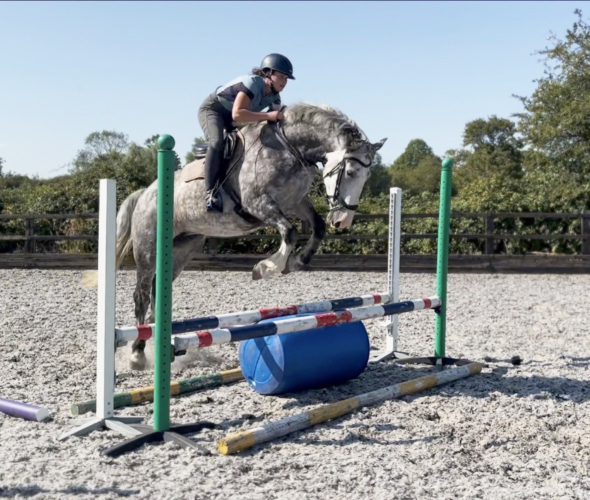 NESSA – Sporty Irish Sport Horse Mare with a Lovely Attitude!