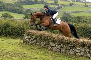 QUALITY IRISH DRAUGHT HUNTER & ALLROUNDER 