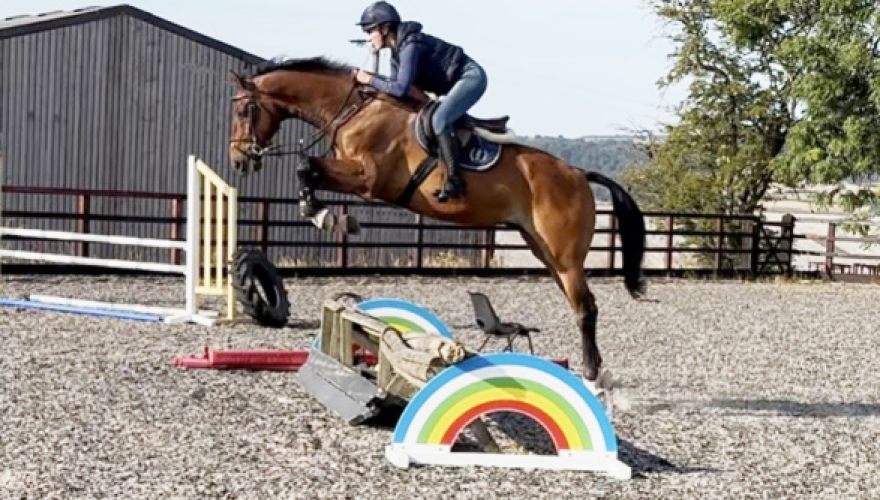 Fun Allrounder