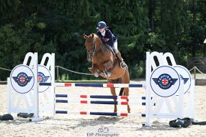 Event / DR mare by Jumbo