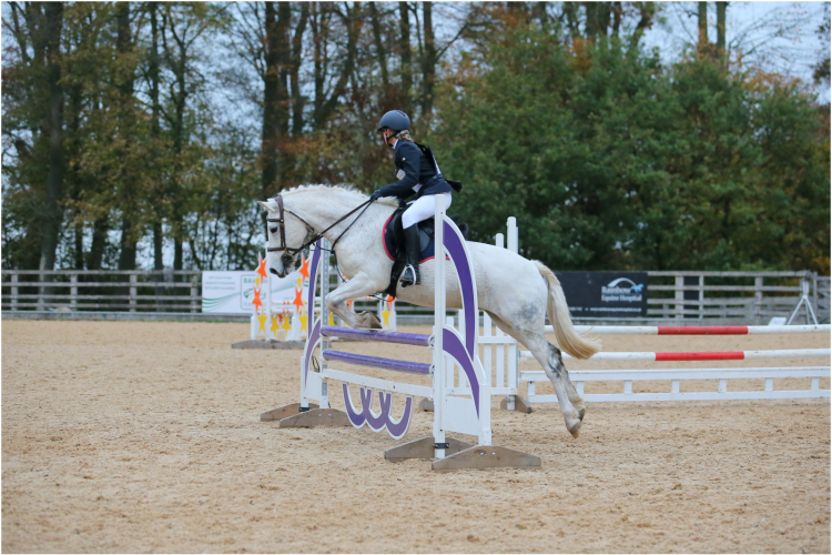 Gorgeous 14.1hh Connie X All rounder
