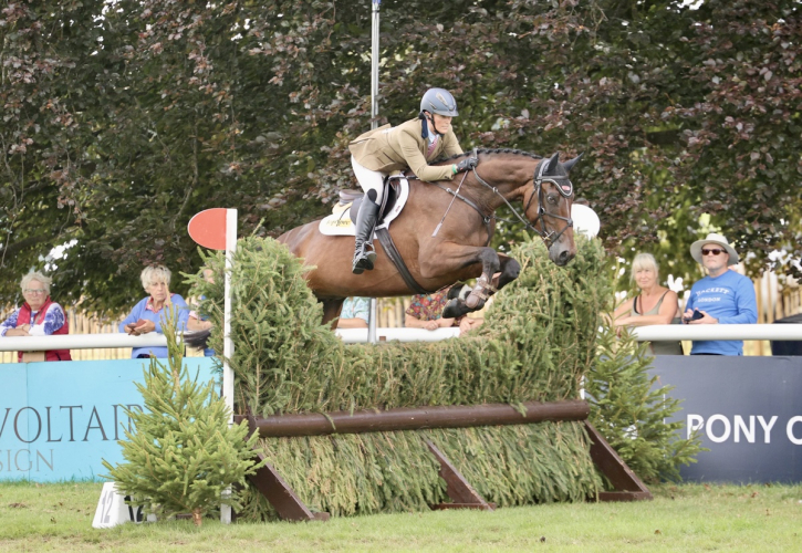 Beautiful modern sport horse