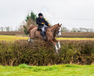 WANTED - Country loving person wanted to help with horses and property on family farm - Buckinghamshire