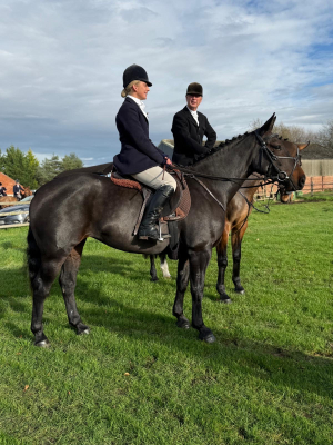 Homebred Allrounder