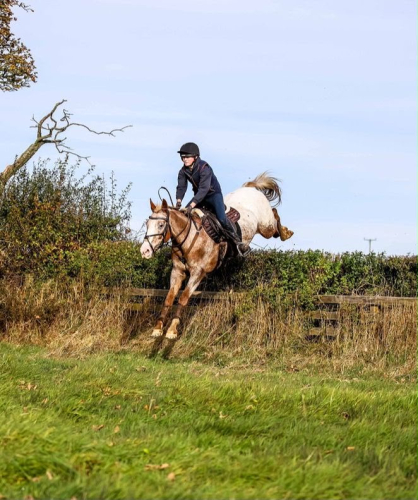💥Cracking All-rounder/RC/Hunter💥
