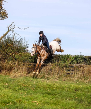 💥Cracking All-rounder/RC/Hunter💥