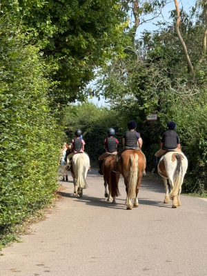 Wanted - housekeeper/ nanny / groom - Hertfordshire