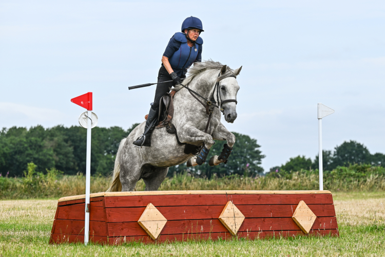 Connie x Murkas Gem  Mare huge potential