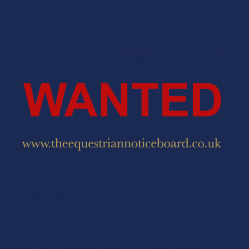 WANTED - Full up 15hh - 15.2hh (approx)  Quality PC Allrounder