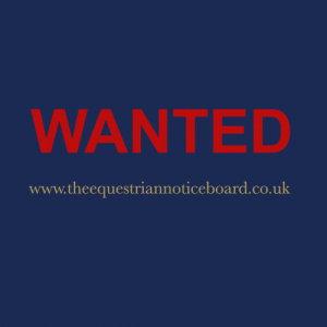 WANTED - Full up 15hh - 15.2hh (approx)  Quality PC Allrounder 