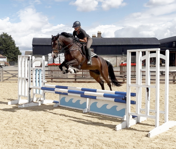 Fun jumping/allrounder mare