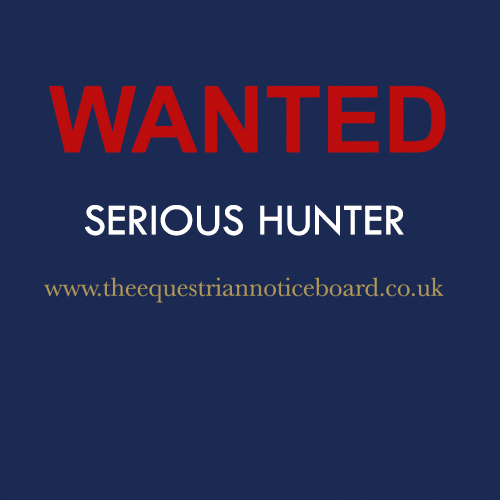 WANTED – SERIOUS HUNTER