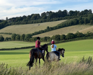 WANTED - Groom/Housekeeper/Nanny  - Buckinghamshire