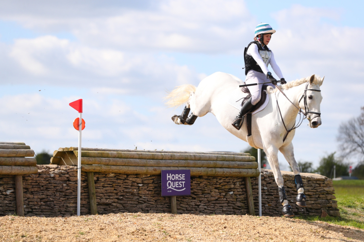Fantastic Pony Club or Riding Club horse.
