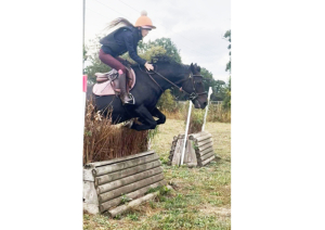Ultimate pony club pony 