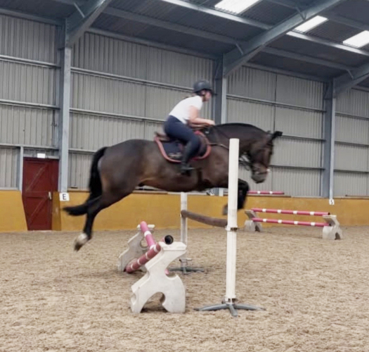 Super Allrounder for sale