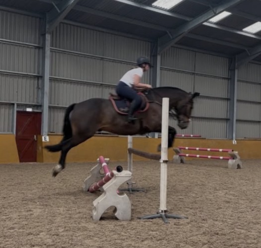 Super Allrounder for sale