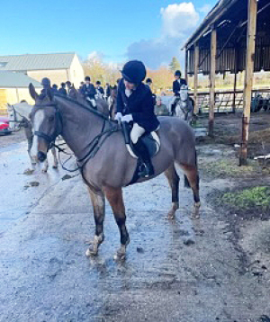 flashy ID X ISH gelding