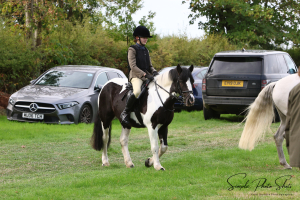 Beautiful 13.3hh, Cob X Mare Hunt Pony
