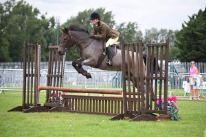 Fun New Forest Mare 
