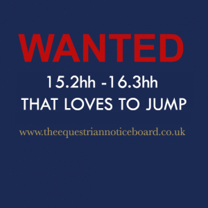 Wanted 15.2hh to 16.3hh that loves to jump 