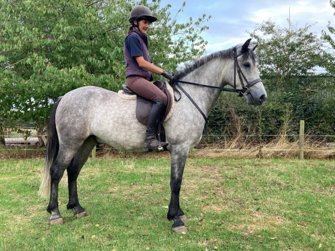 4yo future Sports Pony
