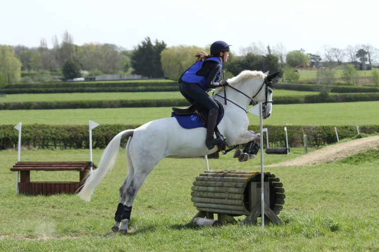 TALENTED, BOLD AND SCOPEY PC/RC/BE EVENT/COMPETITION PONY