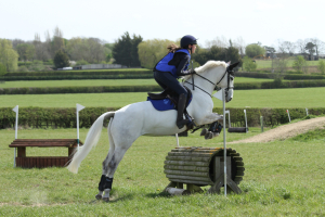 TALENTED, BOLD AND SCOPEY PC/RC/BE EVENT/COMPETITION PONY