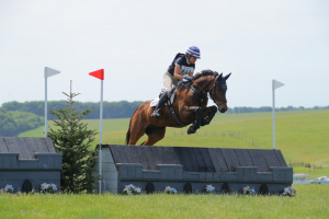 Full up 16hh all rounder