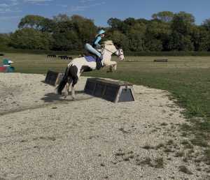 Fantastic allrounder/PC pony