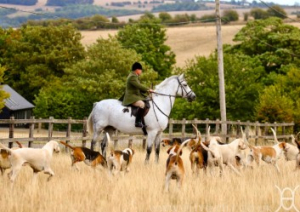 Hunt Stud Groom