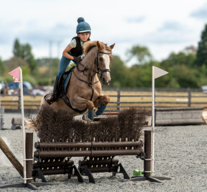 Super all-rounder gelding 