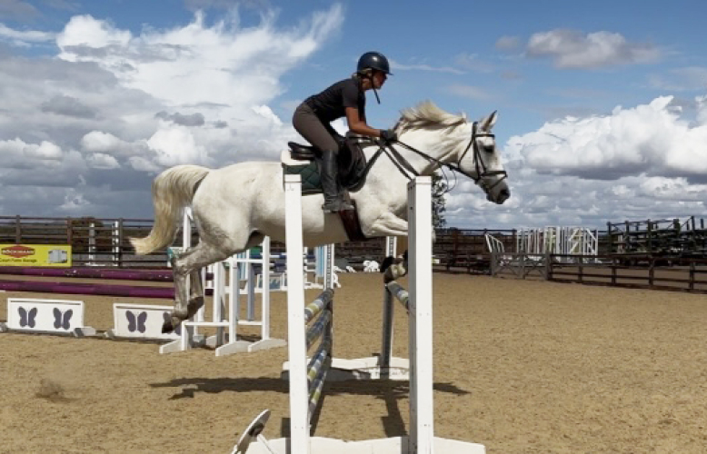 Looking for that confidence giver/schoolmaster/hunter