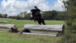 Quality Irish Cob